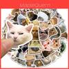 Милые стикеры-котики для чемоданов, блокнотов, бутылок с водой и многого другого! Водонепроницаемый и клейкий.