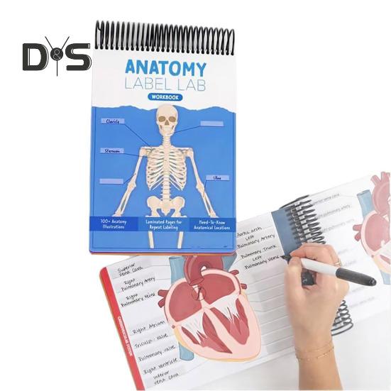 Лабораторная рабочая тетрадь по анатомии. Более 100 иллюстраций по анатомии человека. Рабочая тетрадь по изучению физиологии для студентов медицинских вузов, врачей и медсестер.