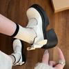 Black Retro Heightened Platform Small Leather Shoes Women's 2025 New Autumn and Winter Round Head Light Mouth Thick Heel Mary Jane Shoes Single Shoes