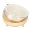 Cat Bowl Prevent Slip Dishwasher Microwave Safe Ceramic Raised Pet Dish with Tilted Stand for Food Water