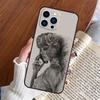 Чехол для телефона с изображением бокса для Apple iPhone 15 16 14 13 12 11 17 Pro Max Mini 17 Air 16e 16 Plus Задняя крышка