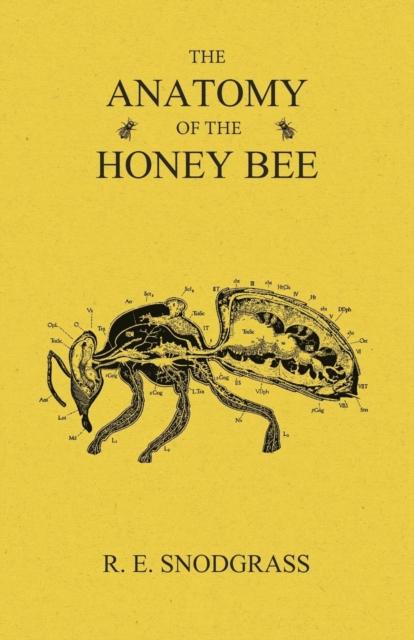 The The Anatomy of the Honey Bee Book