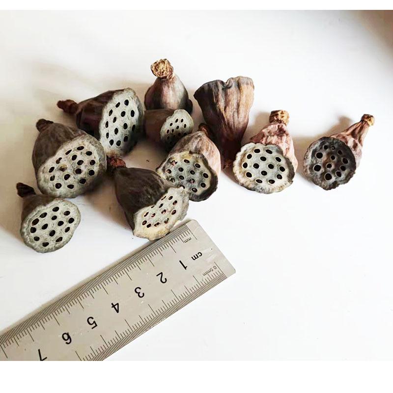 Pistachio Cross Fruit & Fish Scale Pine Gomphrena DIY Dried Flower Weaving Material