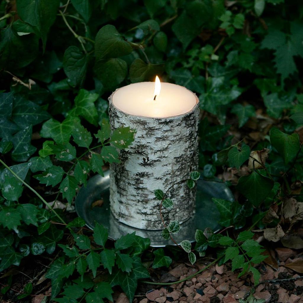 Dulton Birchwood Log Candle Medium Creates a Natural Warmth Candle Made of White Birch Height 15cm Diameter 10.5cm XR23-0579M