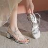 French Silver-toed Roman Sandals Women's Summer New Skirt Is Beautiful, Not Tired, Thick Heels and High Heels