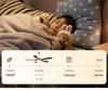 Modern Chinese-Style Ceiling Fan with Light for Living, Bedroom, and Dining Rooms