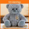 Plush Bear Toy Cartoon Animal Stuffed Doll Bedroom Decoration Kids Gifts Cute