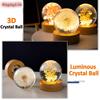 3D Dandelion Crystal Ball 5cm 6cm Luminous Flower Crystal Ball Beech Wood Stand Preserved Flower Sphere Ball Desktop Ornaments