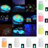 20g Cool Bright DIY Craft Glow In The Dark Luminous Paint Pigment Acrylic