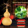 Real Gourd Feng Shui Wooden Pendant: Wealth-Attracting Natural Ornament for Entrance, Living Room, or Office.