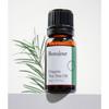 Bonajour Vegan Organic Tea Tree Oil 10ml