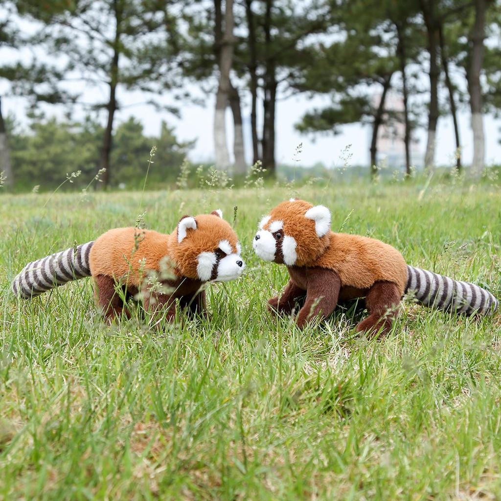 Raccoon Panda Red Animal Plush Fluffy Exterior Children Room Comfort Decoration