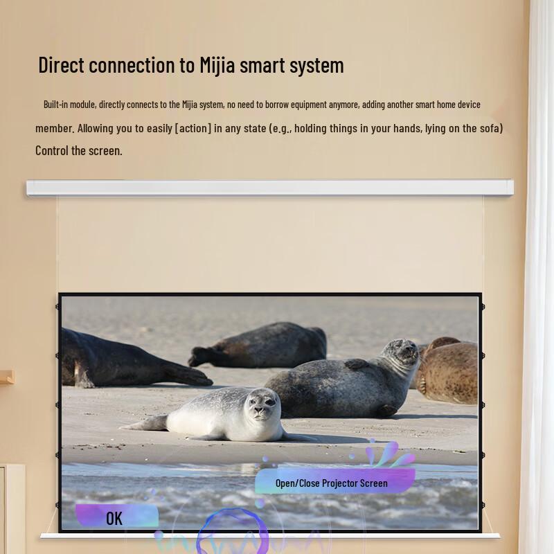 JINGMI 133-inch FG4XS Electric Smart Anti-Light Projection Screen