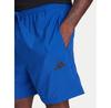 Шорты спортивные adidas Essentials Small Logo Chelsea