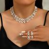 Женский Модный Комплект Украшений Серьги Ожерелье 2 предмета Полая Цепь-Коготь Свадебный Хаос Подарок на День Рождения