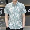 Summer Trend Men's Short-sleeved Ice Silk Shirt Short-sleeved Thin Blouse Handsome Shirt Men's Fashion Versatile Shirt