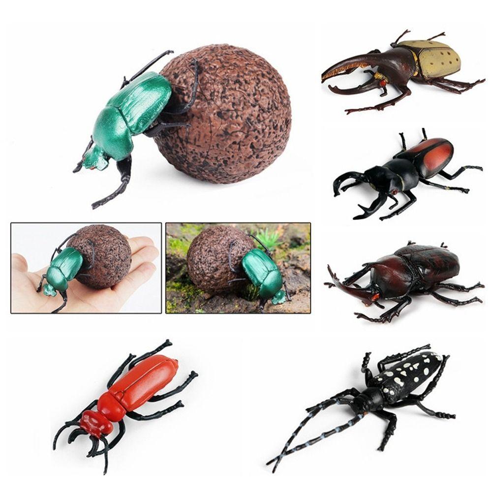 Realistic Beetle Action Figures Wild Insect Lifelike Insect Figurines Desktop Ornament