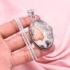 Malingano Jasper Pendant With Silver Chain Necklace 925 Sterling Silver Pendant