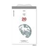 Calendar 2026 Daily Calendar Sky Daily Calendar NK8818 Shin-Nippon -