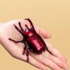 Заводные игрушки Заводная игрушка Жук Игрушка Трюковые реквизиты Насекомые Животные Ползающая игрушка Коллекция