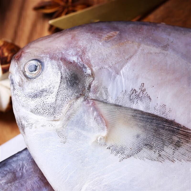 Sandugang Eastern Sea Pomfret Fish