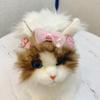 Pet Hair Clip Set Dogs Cats Small Breeds Yorkie Schnauzer Maltese 2cm Mini Barrette Decorative Accessory