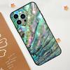 Чехол для телефона из раковины абалона для iPhone 17 Pro Max 14 11 15 16 Pro Max 12 13 mini 16 Plus 16e 17 Air Funda