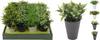 Artificial Decorative Plant In Pot