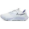 Air Zoom Pegasus 38 Shield Deep Freeze женские кроссовки серые саммит-белые громо-синие DO2341-144
