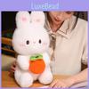 Rabbit Plush Doll Birthday Gift Rabbit Toy Persimmon Luck Animal Decoration