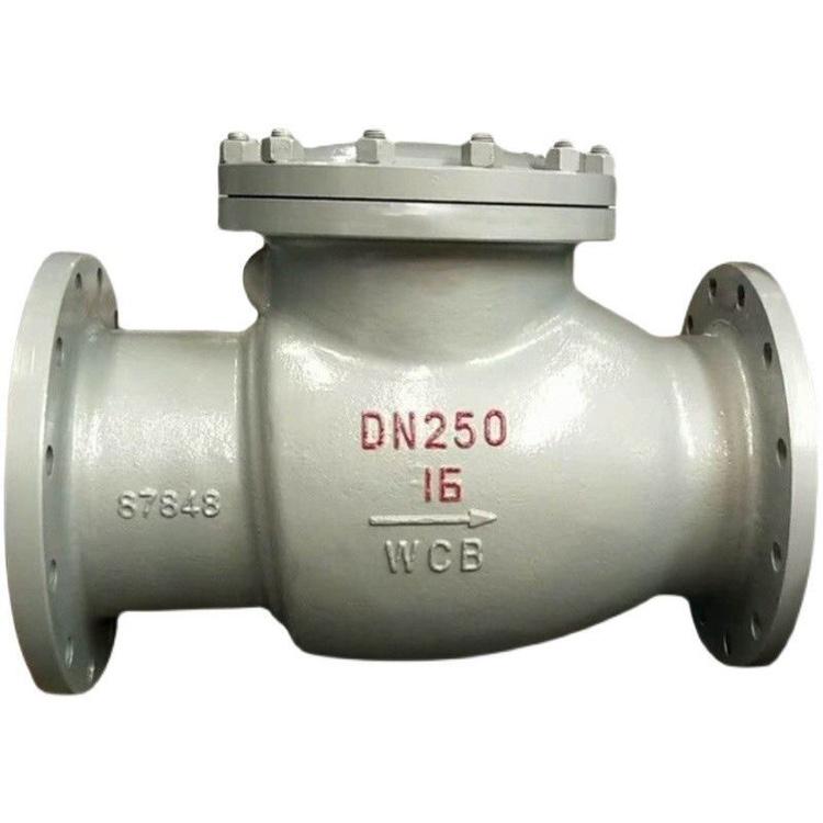 High-Temp Resistant Cast Steel Swing Check Valve DN50/100/150