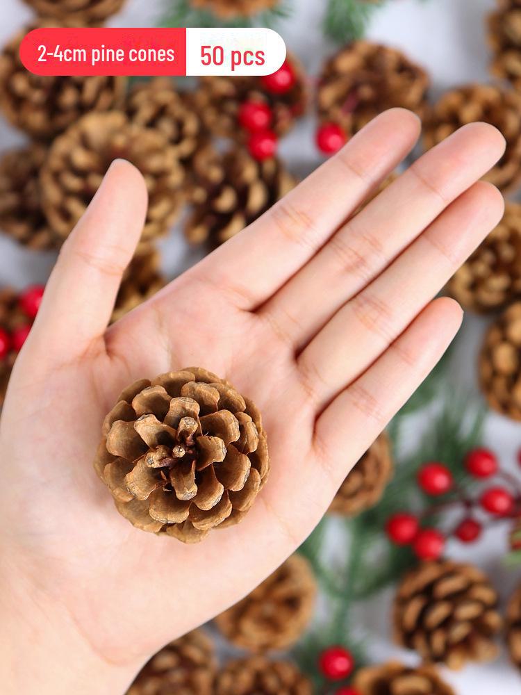 Pine Cone DIY Decoration Kit: Branch, Log, Dried Flowers for Creative Kindergarten Hanging Crafts