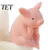 Cute Desk Decompression Ornaments 2Pcs Resin Meditation Pig And Frog Figurines, Funny Toilet Animal Ornament for Desktop Compact Stress Relief