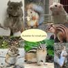 Flexible Closure Squirrel Diapers Potty Training Squirrel Underwear Small Pet Diapers  Groundhogs