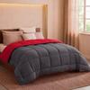 HUDSON - Couette Légère Microfibre - 200gr/m2 - Gris &amp; Rouge - 240 x 260 cm