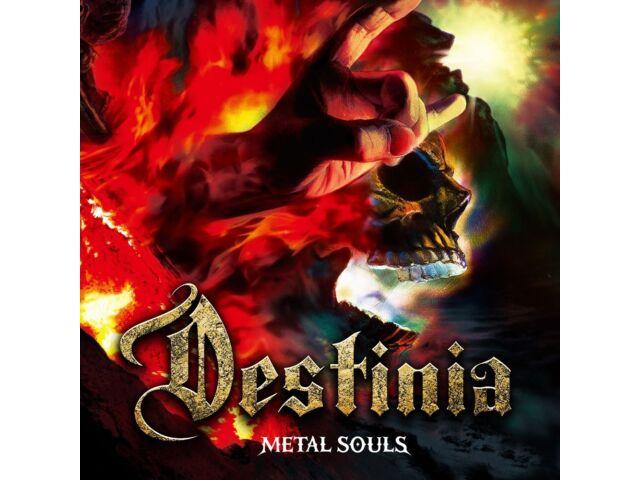2018 Нозому Вакаи Destinia Metal Souls ЯПОНСКОЕ CD+DVD ИЗДАНИЕ GQCS-90582 НОВИНКА