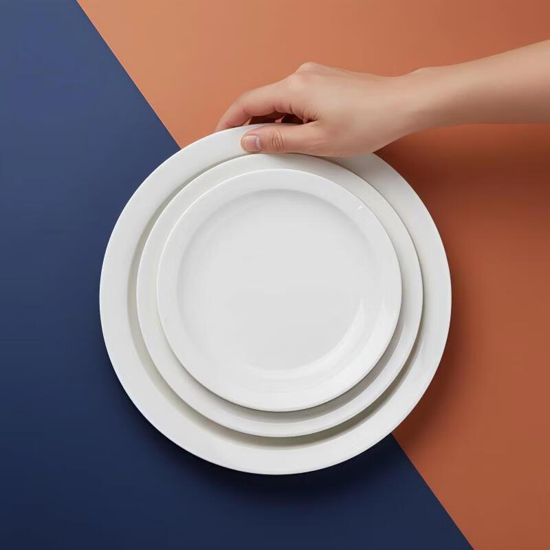 ZHISHI 10.25-inch Ceramic Flat Dinner Plates (4-Pack)
