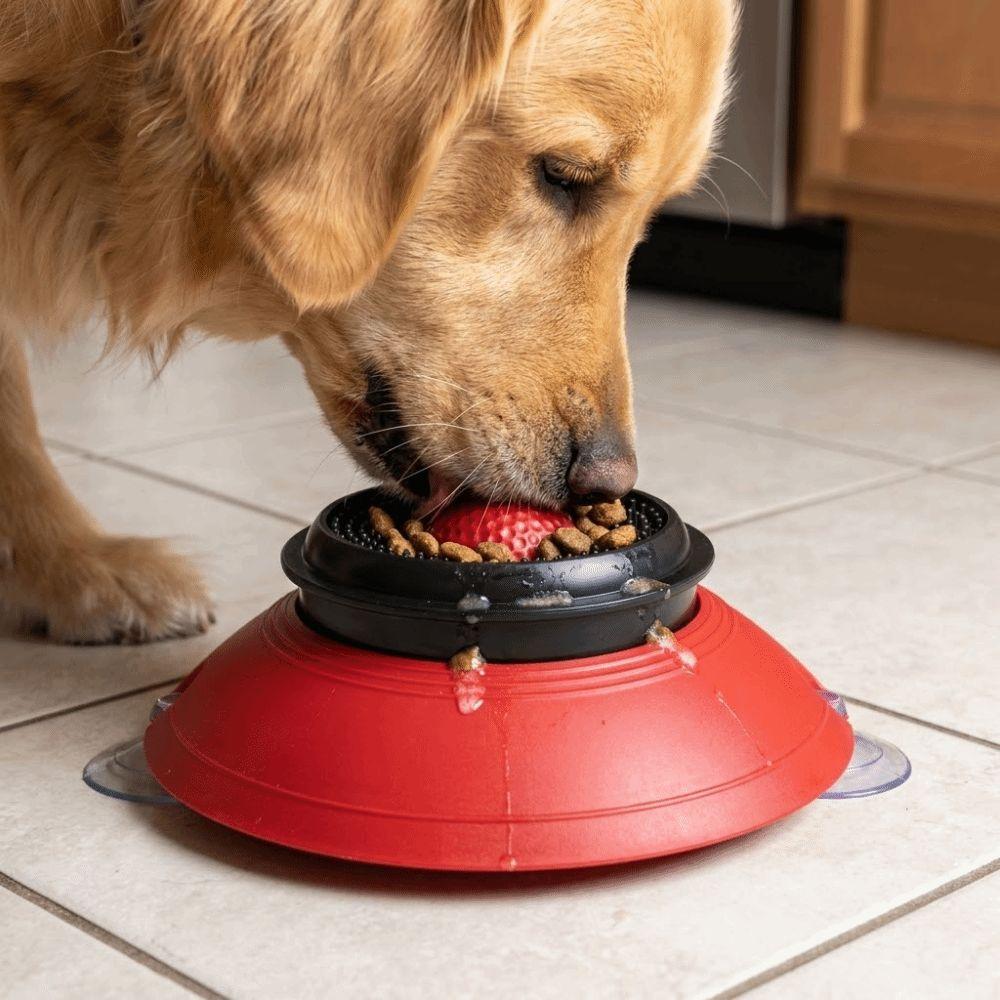 Anti-Choking Dog Licking Bowl Food-Grade Non-Slip Base Liquid Slow Bowls with Rolling Ball Massage Dot Cat Treat Bowl