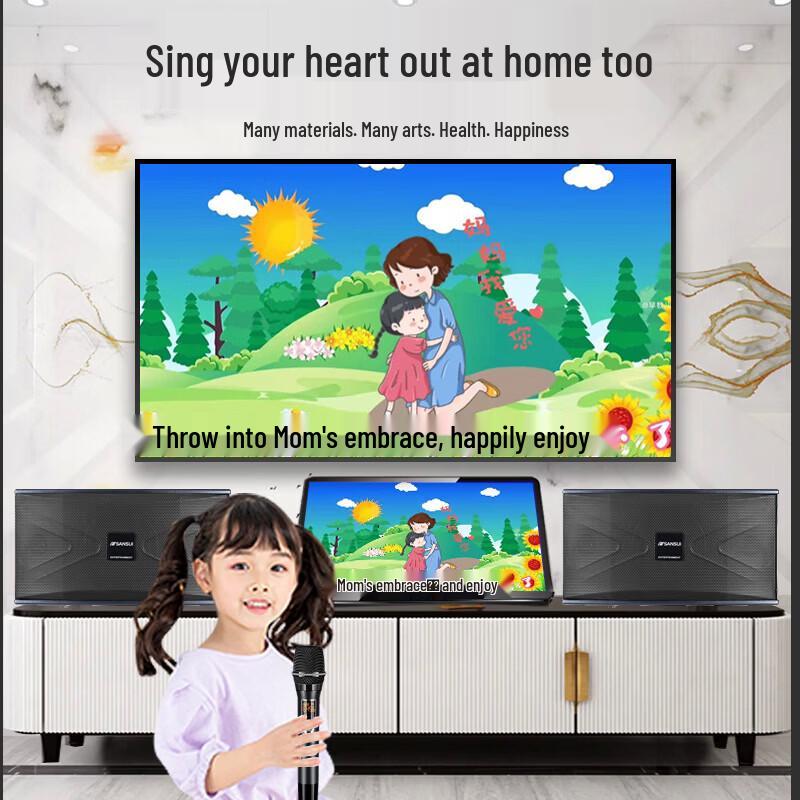 SANSUI PK06 Professional Home KTV Karaoke Audio System CN plug (adapter included)
