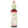 Original Flower Therapy, Larch, 20Ml (0.7Fl Oz)