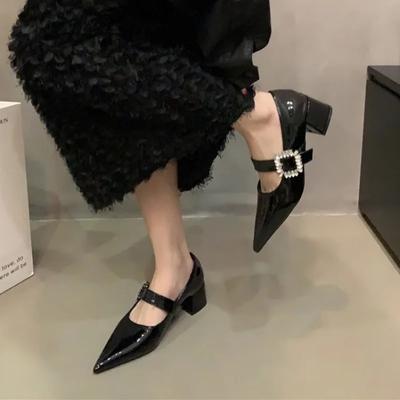 2024 Женская обувь Мэри Джейн Женские туфли на высоком каблуке Ретро платье Туфли-лодочки Женские Кристаллы Острый носок Толстый каблук Пряжка Ремешок Туфли Женские