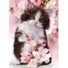 5D Diamond Painting Cross Stitch Cute Cat Diamond Embroidery Cats Flower Rhinestones Diamond Mosaic Stickers Home Decor