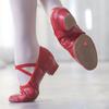 Ballet Dance Shoes For Women Girls Low Heeled 3.5CM Soft Stretch Jazz Dancing Shoes