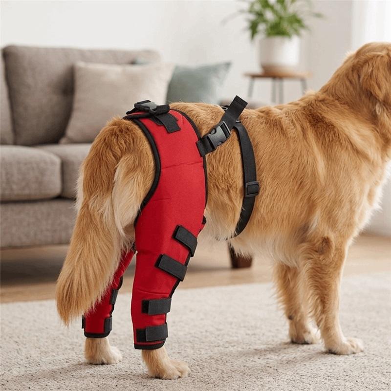 Adjustable Dog Hind Leg Brace Soft Breathable Leg Injury Protector Flexible Secure Pet Knee Support Post Surgery Recovery
