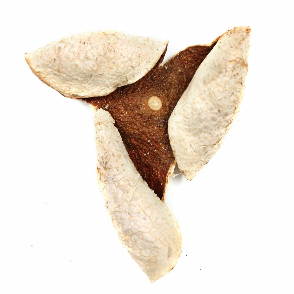 Чай XinHui Chen Pi TianMa, 2019 г., с сушеной кожурой мандарина, 50 г