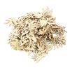 100pcs Unfinished Wooden Plants Chips Handcraft DIY Wooden Embellishments for Painting Cards