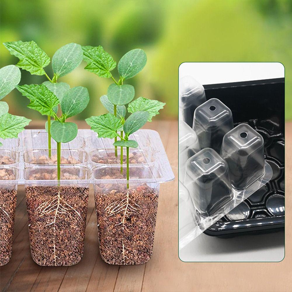 Mini Greenhouse Seed Starter Tray 6/12Grids Plant Starter Kit New Plant Germination Base Garden