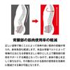 MORITO Full Body Assist Power Suit Многофункциональный поддерживающий пояс с электроприводом для подъемных операций, таких как погрузка-разгрузка грузов и уход за больными S1500