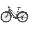 Fafrees F700W Electric Bike, 250W Motor, 36V 10Ah Battery, 9-speed
