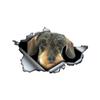 3D Wire Haired Dachshund Car Sticker, Fun Waterproof Sticker for Cars, Trucks, Motorcycles, Walls, Windows, PVC Material